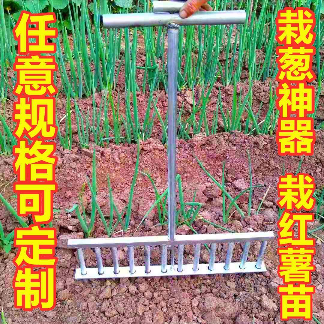 新品神器栽葱工具葱叉子扎眼器田园d栽葱叉子葱插农用具大葱种定