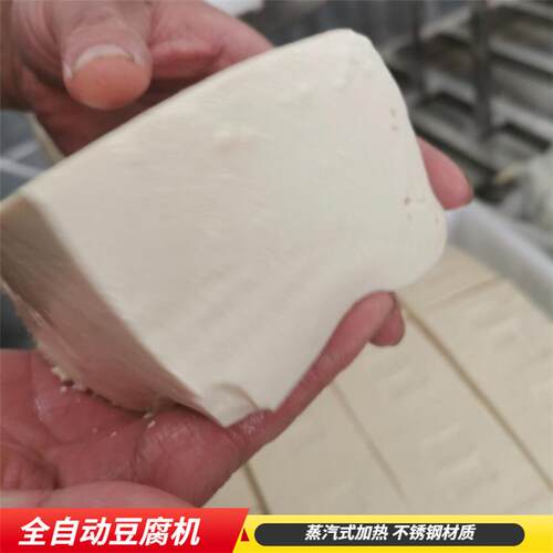 商用型自动化豆腐机老豆腐机嫩豆腐机水豆腐机设备
