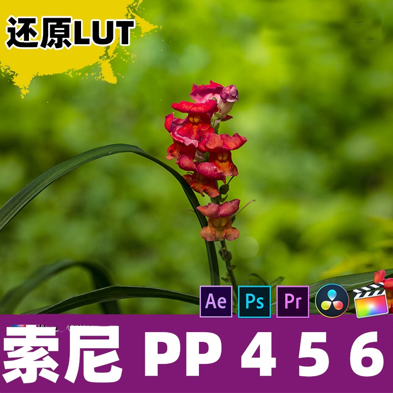 Sony PP4 5 6索尼相机Cine lut视频灰片后期调色还原预设滤镜剪映