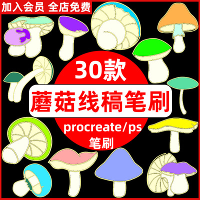 手绘卡通可爱蘑菇插画设计线稿辅助线绘画ps笔刷和procreate笔刷