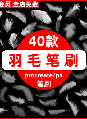 鸟类白色羽毛procreate笔刷后期羽毛飘落仙美特效插画ps笔刷素材