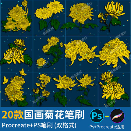 ps笔刷procreate笔刷菊花朵鲜花卉中式传统植物国画插画辅助线稿