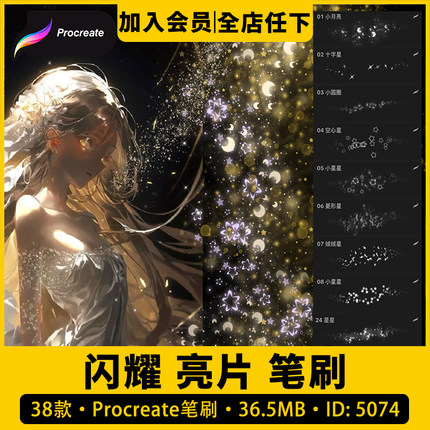 procreate笔刷blingbling闪闪发光仙女亮片闪片亮晶晶闪烁闪粉