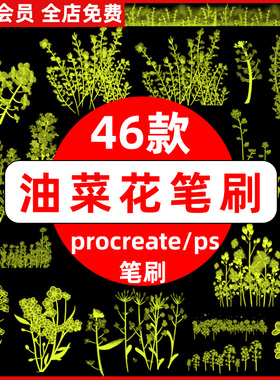 春天黄色油菜花海花卉花朵花簇花丛手绘插画procreate笔刷ps笔刷