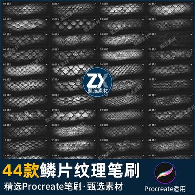 procreate笔刷龙鳞鱼鳞片鳞甲纹理龙纹理蛇鳞肌理皮肤背景花纹