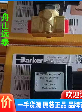 议价~E121K63电磁阀