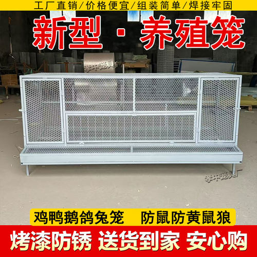 养鸡笼子防雨自动收蛋鸡鸭鹅鸽兔加密笼具烤漆防锈养殖铁笼舍鸽棚