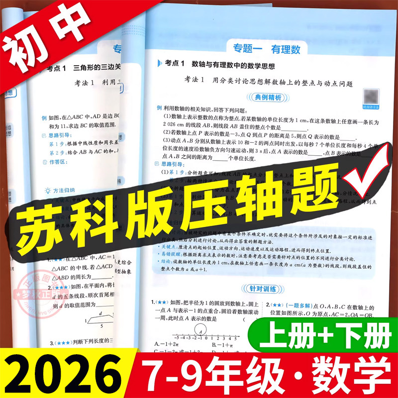 【苏科版】初中数学压轴题