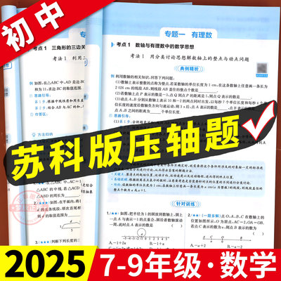 【苏科版】初中数学压轴题