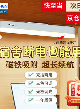 北臣（BEICHEN）台灯学习宿舍寝室酷毙灯大学生充电灯磁吸阅读led