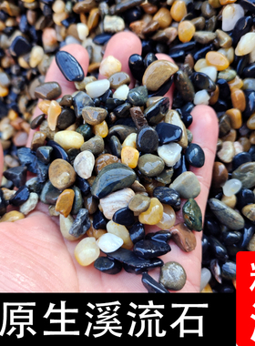 免洗天然原生溪流石鹅卵石豆石鱼缸用铺底砂水族造景装饰过滤石子