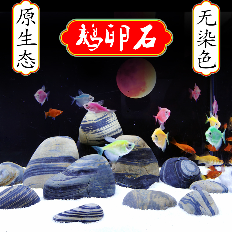 免洗天然原生鹅卵石虎皮纹鱼缸用铺底主石头水族造景装饰过滤石子