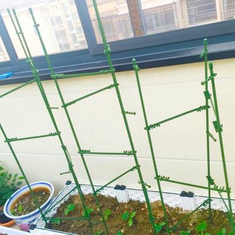 包塑铁管花支架园艺阳台盆栽爬藤架蔬菜植物支撑杆黄瓜番茄攀爬架