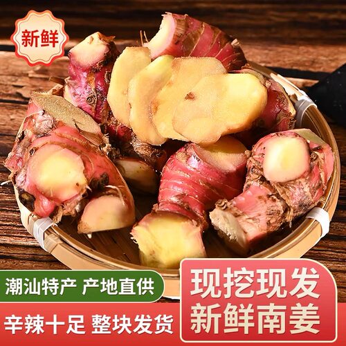潮汕食用老姜南姜新鲜三年潮汕山姜卤水配料牛羊肉火锅去膻调料品