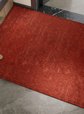 红色新款地垫新年入户门口脚垫防滑免洗可擦马年氛围感玄关门门垫