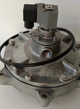 CA76MM010-305 CA76MM040-305 3寸淹没式电磁脉冲阀 DN76 DC24V