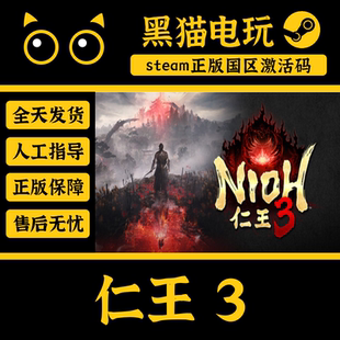 steam 正版 国区 仁王 3 Nioh 3 CDKey 激活码 PC端入库 CDKEY