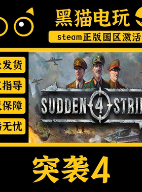 steam 正版 国区 突袭4 Sudden Strike 4 CDKey 激活码 PC端CDKEY