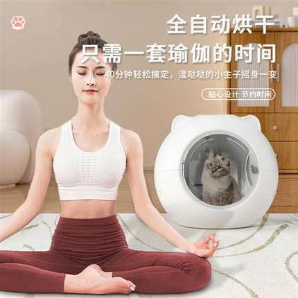 宠物烘干箱家用吹风机吹水机静音杀菌狗狗猫咪烘干机洗澡吹干神器