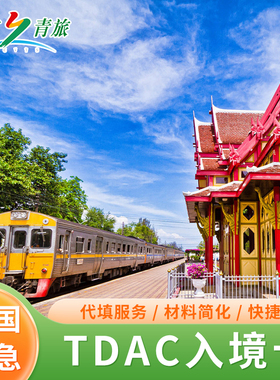 加急30分钟泰国旅游电子入境卡TDAC入境卡曼谷普吉芭提雅旅游代填