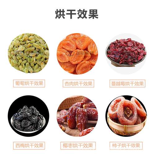 大型椰枣KKH干黑椰脱水烘备枣箱式新疆黄干设椰枣烘干机椰枣烘干
