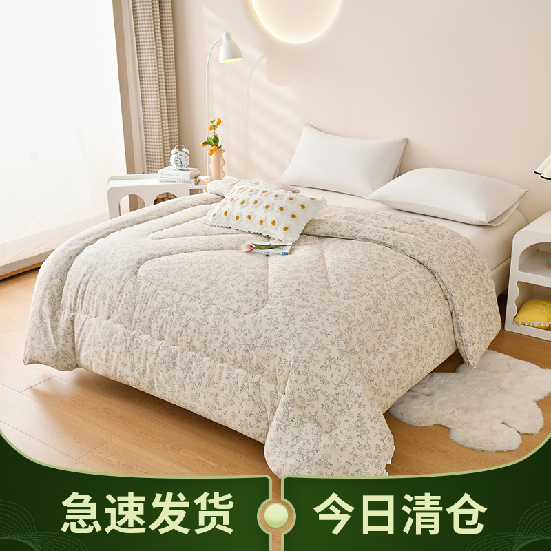 加厚被子冬被蚕丝被冬天保暖纯棉被褥冬款太空被双人春秋丝棉被芯,床上用品,蚕丝被,淘宝优惠券,粉丝福利购,淘宝优惠卷