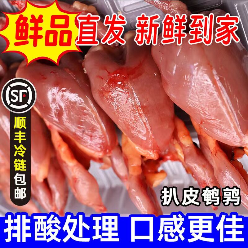 扒皮母鹌鹑剥皮新鲜老母鹌鹑速冻酒店烧烤食材非乳鸽批发生肉食用