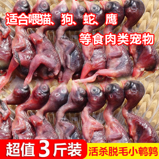 新鲜小鹌鹑幼仔赠分装鹌鹑宠物幼犬狗猫粮零食猫咪生骨肉喂蛇鹰貂