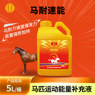 康金方马耐速能马术赛马耐力速度爆发力Rbc大黄桶糖浆营养添加剂