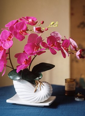 速发高端蝴蝶兰打印假花客厅电视柜摆件酒店铺前台桌面轻奢装饰