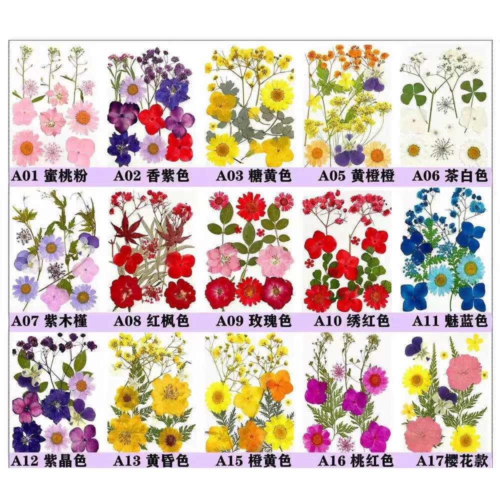 蝶恋花干花压花植物组合 DIY手工滴胶相框台灯扇子押花材料包