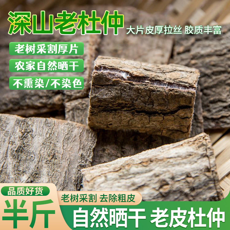 老树杜仲挑选老丝绵树厚皮片滋四川正宗杜肿皮补煲汤泡酒杜仲茶肾