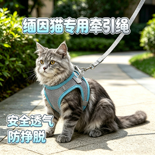 缅因猫专用猫咪牵引绳猫防挣脱小猫外出背带不勒脖可调节款高颜值