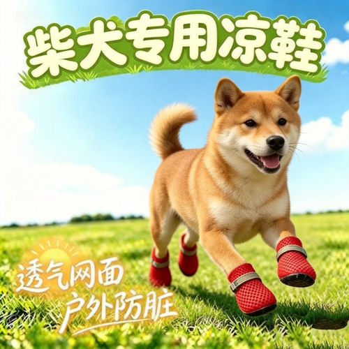 柴犬专用狗狗凉鞋小狗鞋子夏透气宠物小型犬狗鞋夏季外出防脏网鞋