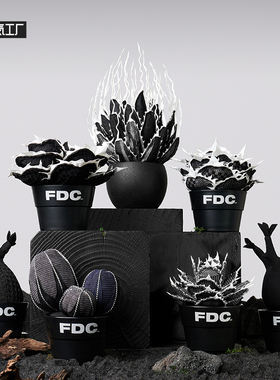 超级元气工厂 FDC龙舌兰象牙宫块根植物桌面客厅摆件艺术品装饰