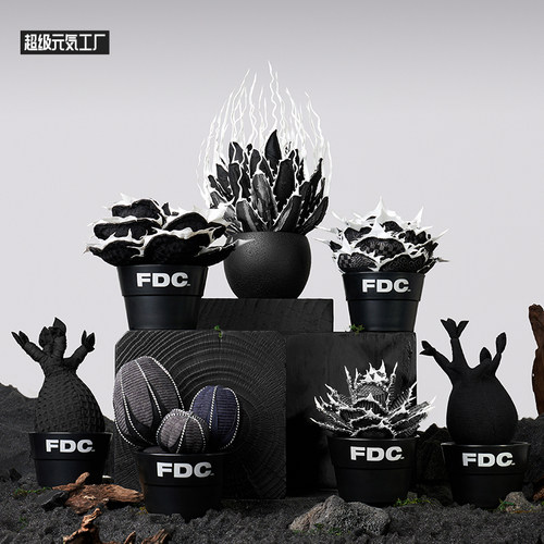 FDC龙舌兰块根植物家居摆件