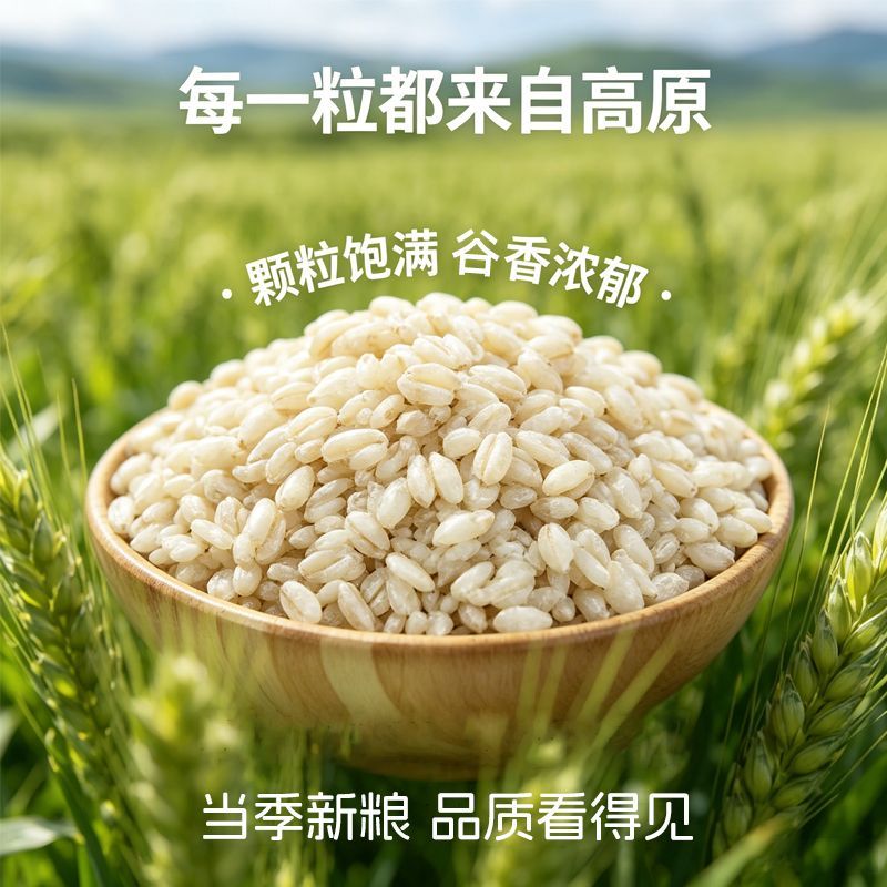 福昙青藏高原免泡青稞米新米低脂高纤粗粮杂粮健康饱腹主食