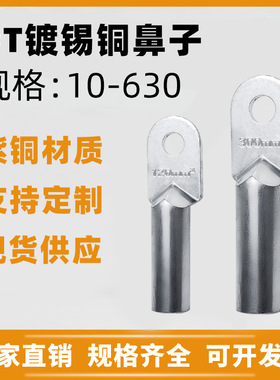 厂标镀锡铜鼻子DT-1016300平方电缆铜接线端子铜管鼻铜接头连接器