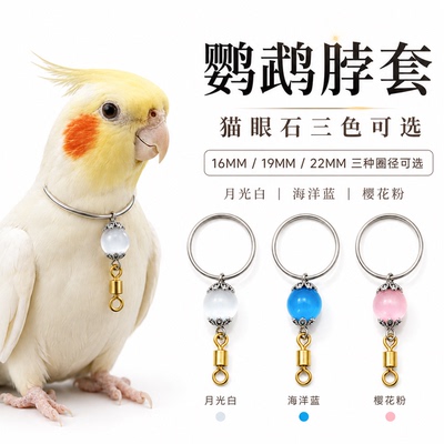 玄凤牡丹小太阳遛鸟放飞防逃脱