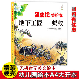 硬壳精装绘本昆虫记美绘本全套8册地下工匠-蚂蚁 3-6-8岁儿童科普知识启蒙百科图画书 一二年级小学生课外阅读书籍