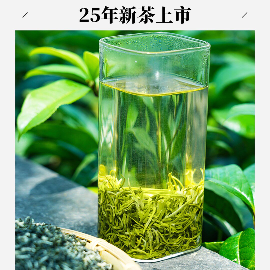 清漪湖A级蒙顶毛峰2026年新茶碧螺春绿茶茶叶栗香耐泡茶好茶