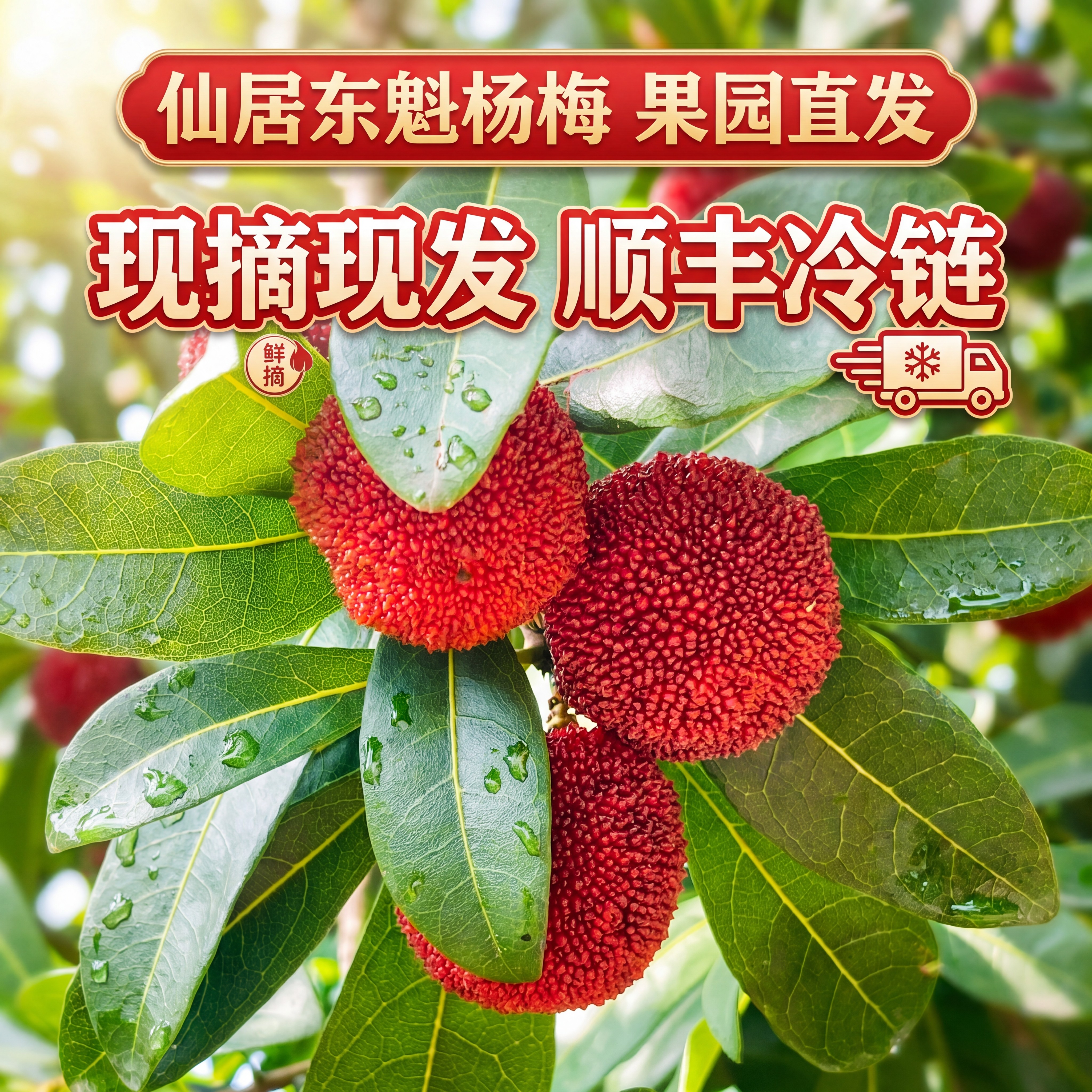 仙居杨梅东魁杨梅礼盒装果肉厚实