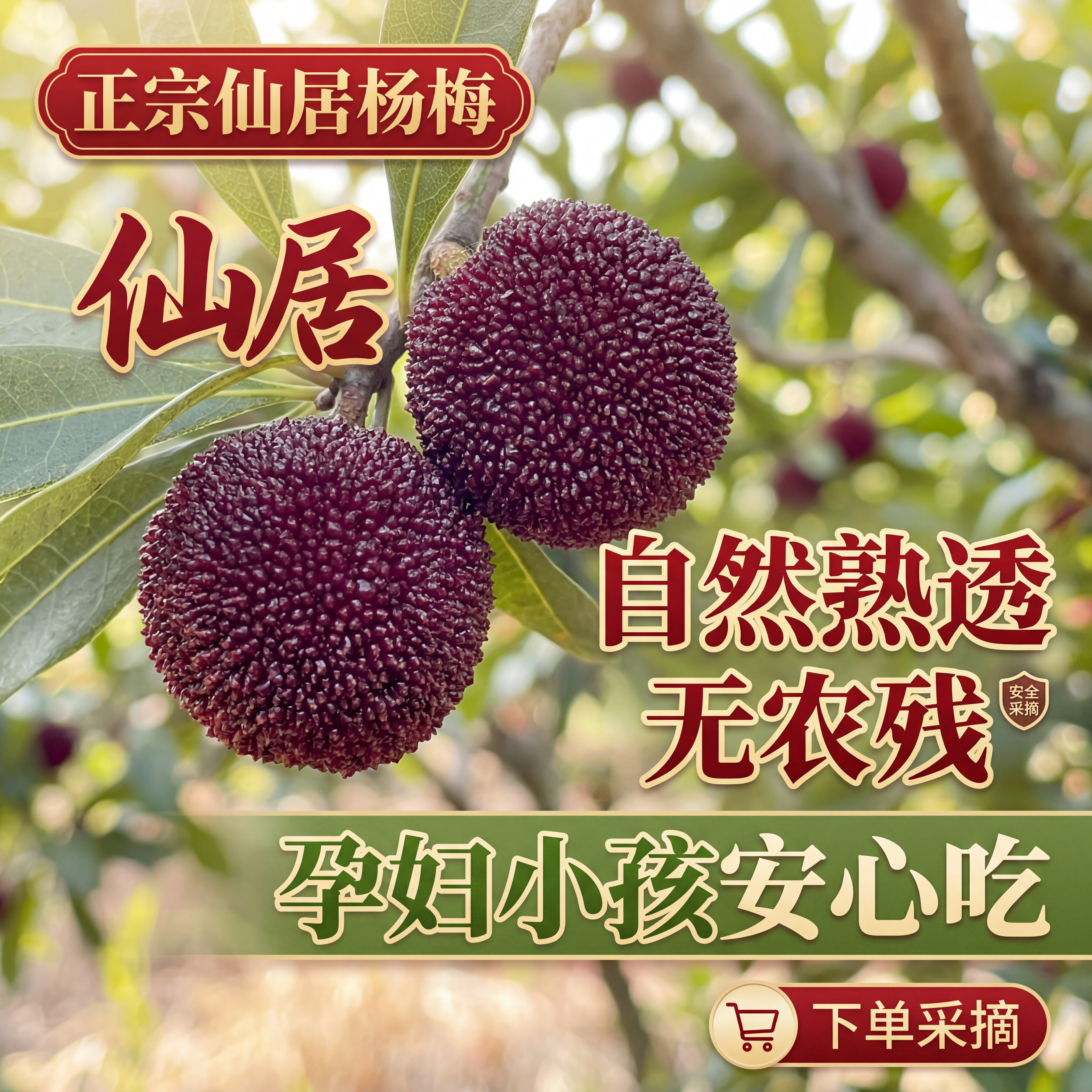 正宗仙居东魁杨梅新鲜现摘乒乓球梅高山老树孕妇时令水果顺丰包邮