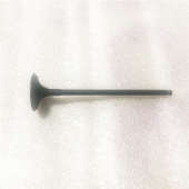 A进气门排气门 BJ500GS 贝纳利原厂配件黄龙600金鹏502 BJ600