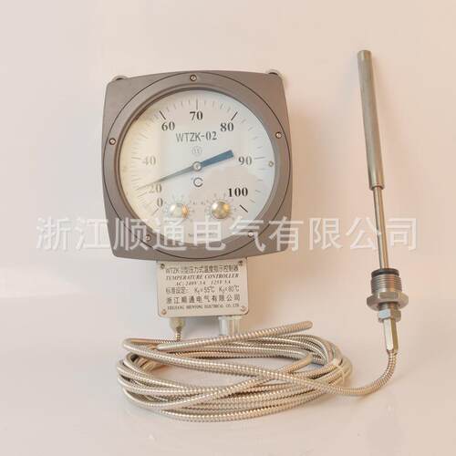 压力式温度控制器3TZK-02变压温度计WWTZK-0温度指示控制器器华立