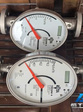 询价横河ROTA金属浮子流量计两只，型号RAMC02，不锈钢31