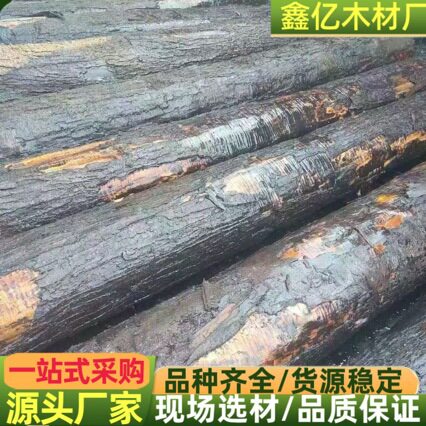 美国枫影染色木皮 枫木白栓影增白木皮 欧枫影木直纹 白山兰影