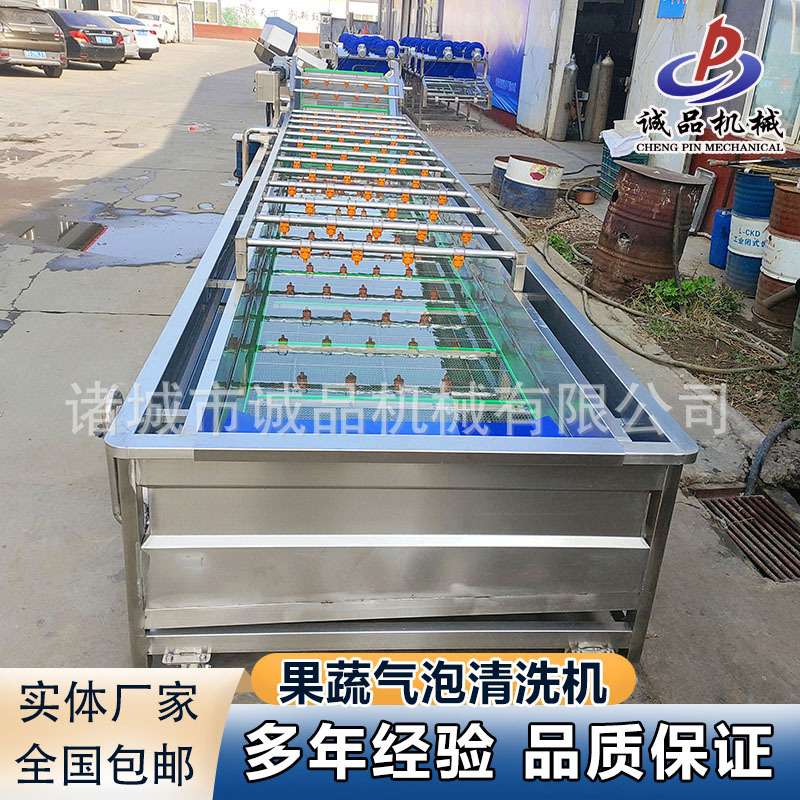 大型果蔬气泡清洗机商用辣椒白菜海产流水线蓝莓圣女果清洗设备