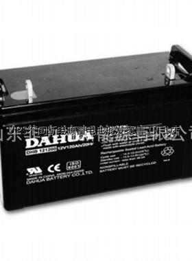 DAHUA铅蓄电池12V200AH DHB122000适用于 船舶照明 太阳能储能