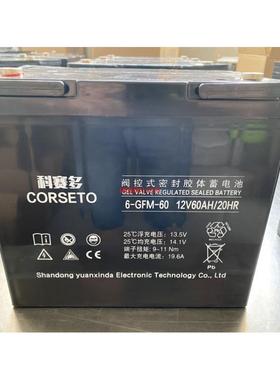 蓄电池6-GFM-60质保三年12V60AH直流屏EPS和UPS电源专用